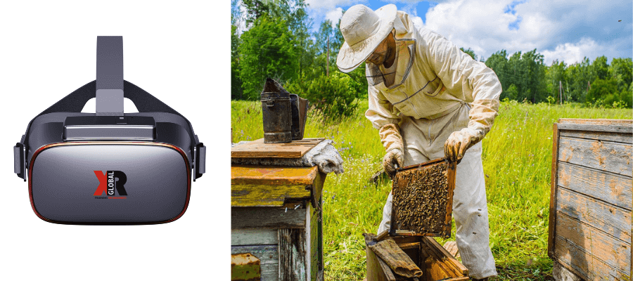 XR-global-beekeeper-VR-обучение-1-1